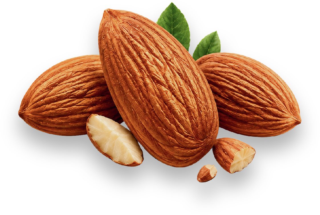 MEWA extra premium almonds with a split almond showing the kernel